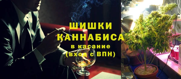 прущие грибы Михайлов